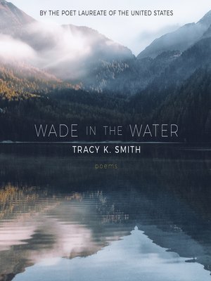 cover image of Wade in the Water